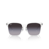 Ray-Ban RB2206D Sonnenbrillen 64478G transparent - Produkt-Miniaturansicht 1/4