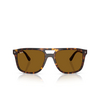 Lunettes de soleil Ray-Ban RB2213 902/33 havana - Vignette du produit 1/4