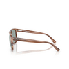 Ray-Ban RB2213CH Sonnenbrillen 1423O9 havana brown - Produkt-Miniaturansicht 3/4