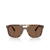 Ray-Ban RB2213CH Sonnenbrillen 902/AN havana - Produkt-Miniaturansicht 1/4