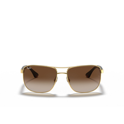 Ray-Ban RB3533 Sonnenbrillen 001/13 gold