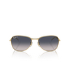 Lunettes de soleil Ray-Ban RB3733 001/78 gold - Vignette du produit 1/4