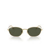 Occhiali da sole Ray-Ban RB3749 001/31 arista - anteprima prodotto 1/4