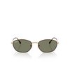 Ray-Ban RB3749 Sunglasses 927358 havana on gold - product thumbnail 1/4