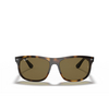 Occhiali da sole Ray-Ban RB4226 710/73 light havana - anteprima prodotto 1/4