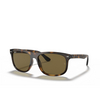 Lunettes de soleil Ray-Ban RB4226 710/73 light havana - Vignette du produit 2/4