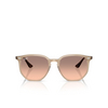 Occhiali da sole Ray-Ban RB4306 678846 turtledove - anteprima prodotto 1/4