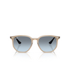 Lunettes de soleil Ray-Ban RB4306 6788V1 turtledove - Vignette du produit 1/4