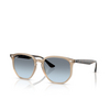 Lunettes de soleil Ray-Ban RB4306 6788V1 turtledove - Vignette du produit 2/4