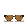 Lunettes de soleil Ray-Ban RB4323 710/83 light havana - Vignette du produit 1/4