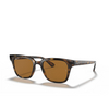 Lunettes de soleil Ray-Ban RB4323 710/83 light havana - Vignette du produit 2/4