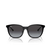 Lunettes de soleil Ray-Ban RB4333D 601/8G black - Vignette du produit 1/4