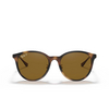 Ray-Ban RB4334D Sonnenbrillen 710/83 light havana - Produkt-Miniaturansicht 1/4