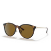 Lunettes de soleil Ray-Ban RB4334D 710/83 light havana - Vignette du produit 2/4