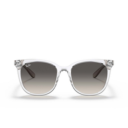 Ray-Ban RB4379D Sonnenbrillen 659811 transparent