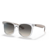 Ray-Ban RB4379D Sunglasses 659811 transparent - product thumbnail 2/4