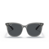 Occhiali da sole Ray-Ban RB4379D 659987 transparent grey - anteprima prodotto 1/4