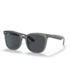 Occhiali da sole Ray-Ban RB4379D 659987 transparent grey - anteprima prodotto 2/4