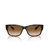 Lunettes de soleil Ray-Ban RB4388 710/51 havana - Vignette du produit 1/4