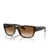 Occhiali da sole Ray-Ban RB4388 710/51 havana - anteprima prodotto 2/4