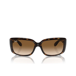 Ray-Ban RB4389 Sonnenbrillen 710/51 havana