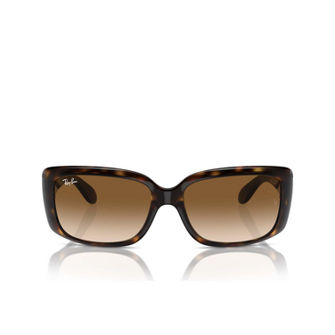 Ray-Ban RB4389 Sunglasses 710/51 havana - front view
