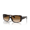 Occhiali da sole Ray-Ban RB4389 710/51 havana - anteprima prodotto 2/4