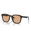 Lunettes de soleil Ray-Ban RB4392D 601/93 black - Vignette du produit 2/4