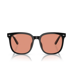 Ray-Ban RB4401D Sonnenbrillen 601/74 black