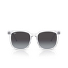 Occhiali da sole Ray-Ban RB4401D 64478G transparent - anteprima prodotto 1/4