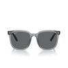 Lunettes de soleil Ray-Ban RB4401D 659981 transparent grey - Vignette du produit 1/4