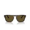 Lunettes de soleil Ray-Ban RB4407 135973 havana - Vignette du produit 1/4