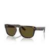 Occhiali da sole Ray-Ban RB4407 135973 havana - anteprima prodotto 2/4