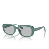 Lunettes de soleil Ray-Ban RB4421D 676287 algae green - Vignette du produit 2/4