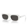 Ray-Ban RB4421D Sunglasses 677287 white - product thumbnail 2/4