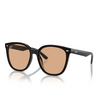 Ray-Ban RB4423D Sunglasses 601/93 black - product thumbnail 2/4