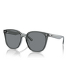 Lunettes de soleil Ray-Ban RB4423D 645087 transparent grey - Vignette du produit 2/4