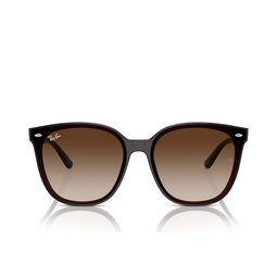 Ray-Ban RB4423D Sonnenbrillen 714/13 transparent brown