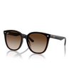 Lunettes de soleil Ray-Ban RB4423D 714/13 transparent brown - Vignette du produit 2/4