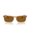 Gafas de sol Ray-Ban RB4435 676433 transparent brown - Miniatura del producto 1/4