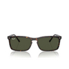 Lunettes de soleil Ray-Ban RB4435 902/31 havana - Vignette du produit 1/4