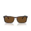 Occhiali da sole Ray-Ban RB4435 902/57 havana - anteprima prodotto 1/4