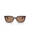 Occhiali da sole Ray-Ban RB4439D 623173 opal brown - anteprima prodotto 1/4