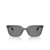 Occhiali da sole Ray-Ban RB4439D 667587 transparent grey - anteprima prodotto 1/4