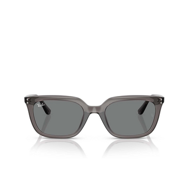 Ray-Ban RB4439D Sunglasses 667587 transparent grey - front view