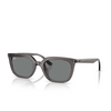 Occhiali da sole Ray-Ban RB4439D 667587 transparent grey - anteprima prodotto 2/4