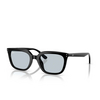 Occhiali da sole Ray-Ban RB4439D 901/72 black - anteprima prodotto 2/4