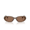 Ray-Ban RB4441D Sunglasses 677973 opal brown - product thumbnail 1/4