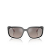 Ray-Ban RB4443M Sunglasses F6025J black - product thumbnail 1/4