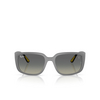 Ray-Ban RB4443M Sunglasses F60811 grey - product thumbnail 1/4